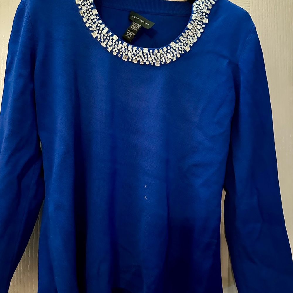 Blue Sweater with Embellished Neckline